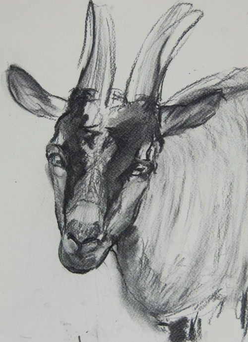 Ivanovic Milena Charcoal Drawing