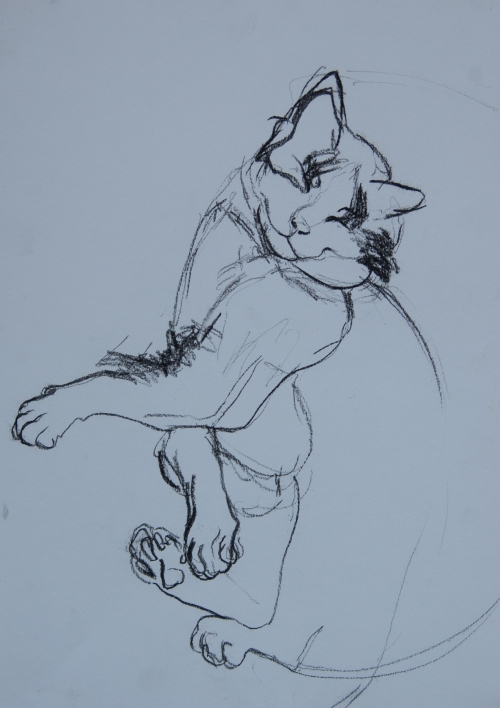 Ivanovic Milena Charcoal Drawing
