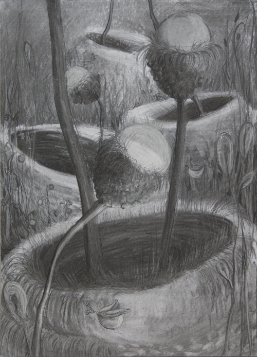 Milena Ivanovic Drawing Charcoal