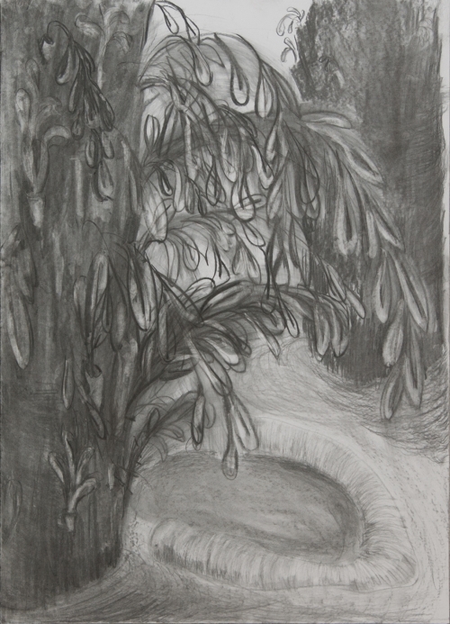 Milena Ivanovic Drawing Charcoal
