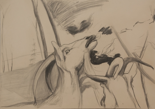 Ivanovic Milena Charcoal Drawing