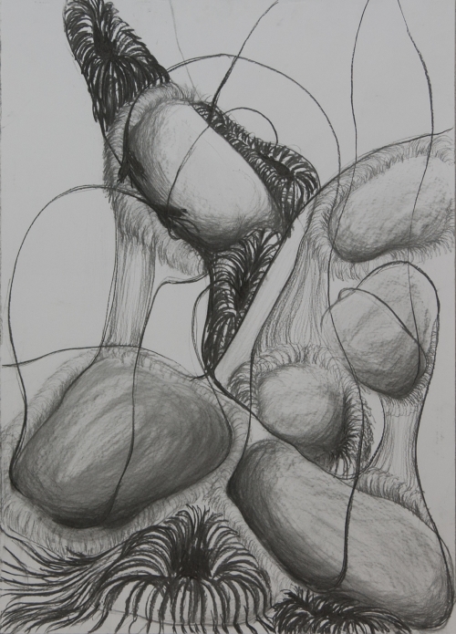 Milena Ivanovic Drawing Charcoal