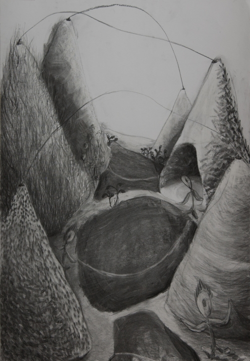 Milena Ivanovic Drawing Charcoal