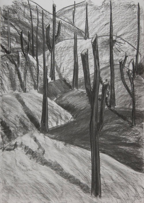 Milena Ivanovic Drawing Charcoal