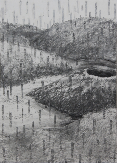 Milena Ivanovic Drawing Charcoal