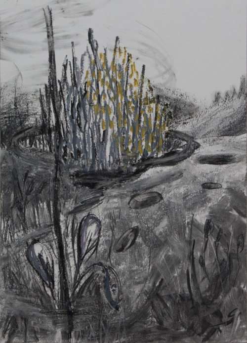 Milena Ivanovic Drawing Charcoal