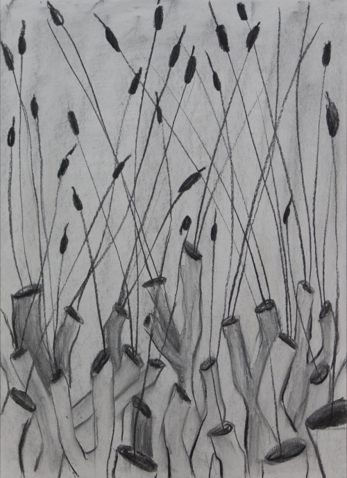 Milena Ivanovic Drawing Charcoal