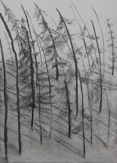 Milena Ivanovic Drawing Charcoal