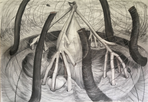 Milena Ivanovic Forest immune system, Drawing