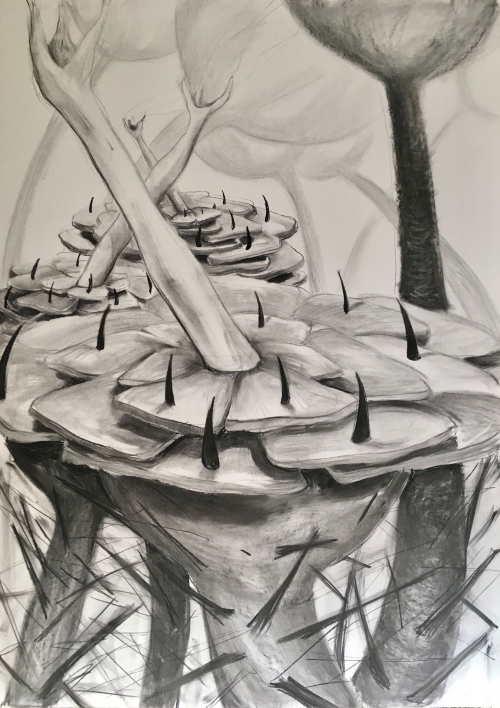 Milena Ivanovic Forest immune system Drawing